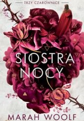 Cover: Siostra nocy