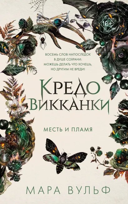 Cover: Месть и пламя